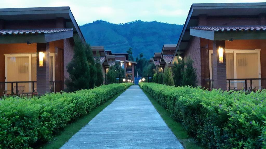 Bromo Terrace Hotel Luaran gambar